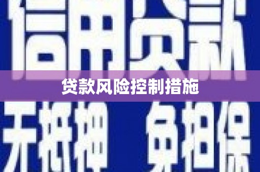 新乐贷款风险控制措施