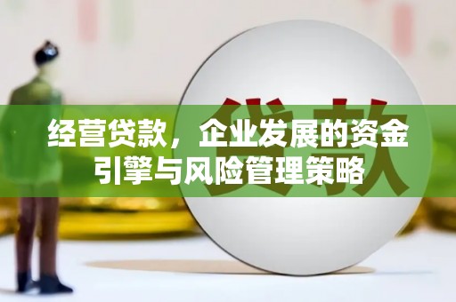 新乐经营贷款，企业发展的资金引擎与风险管理策略