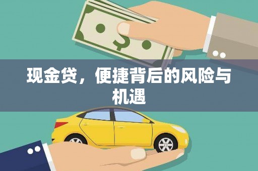 新乐现金贷，便捷背后的风险与机遇
