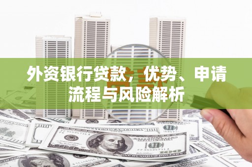 新乐外资银行贷款，优势、申请流程与风险解析