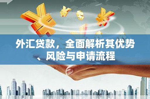 新乐外汇贷款，全面解析其优势、风险与申请流程