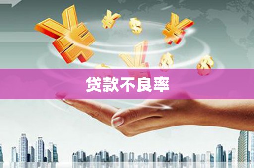 新乐贷款不良率