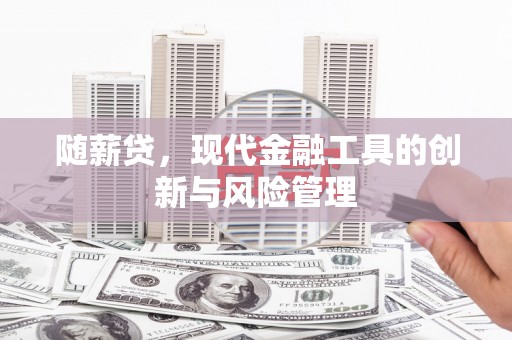 新乐随薪贷，现代金融工具的创新与风险管理