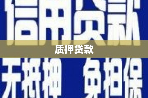 新乐质押贷款
