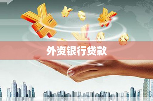 新乐外资银行贷款