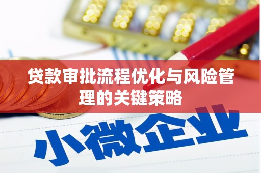 新乐贷款审批流程优化与风险管理的关键策略