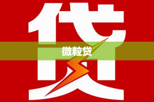 新乐微粒贷