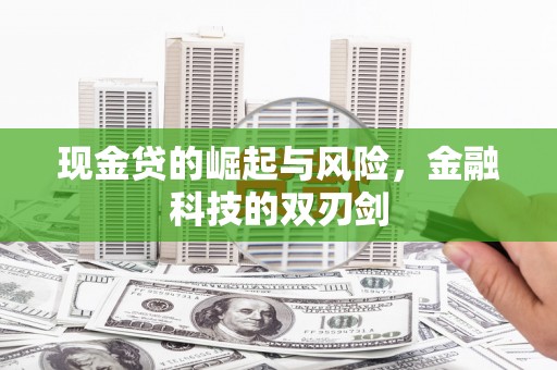 新乐现金贷的崛起与风险，金融科技的双刃剑