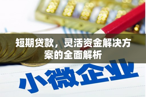 新乐短期贷款，灵活资金解决方案的全面解析