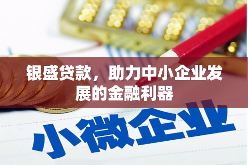 新乐银盛贷款，助力中小企业发展的金融利器