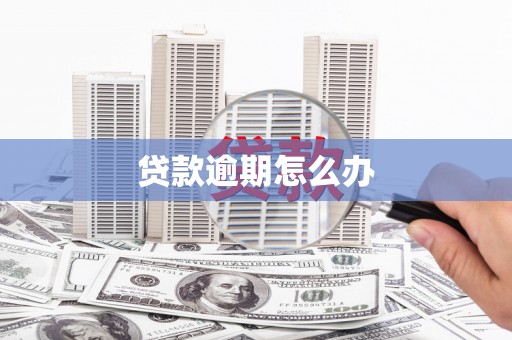 新乐贷款逾期怎么办