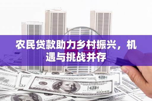 新乐农民贷款助力乡村振兴，机遇与挑战并存