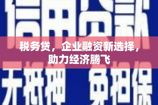 新乐税务贷，企业融资新选择，助力经济腾飞