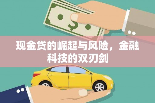 新乐现金贷的崛起与风险，金融科技的双刃剑