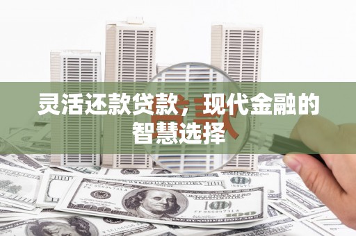 新乐灵活还款贷款，现代金融的智慧选择
