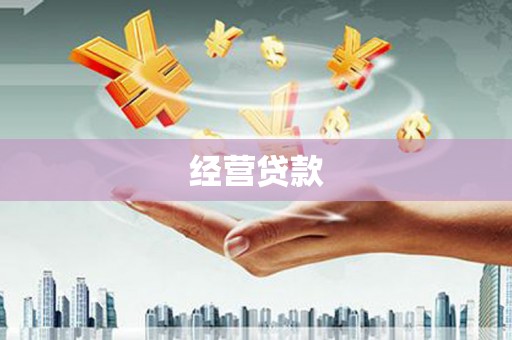 新乐经营贷款
