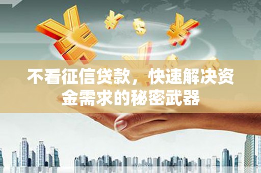 新乐不看征信贷款，快速解决资金需求的秘密武器