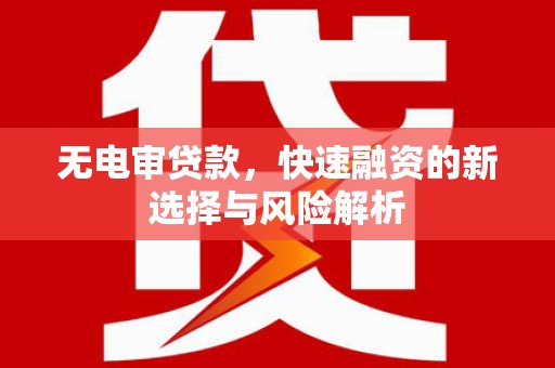 新乐无电审贷款，快速融资的新选择与风险解析