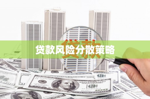 新乐贷款风险分散策略