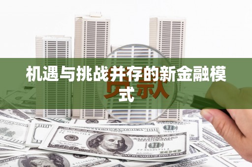 新乐机遇与挑战并存的新金融模式
