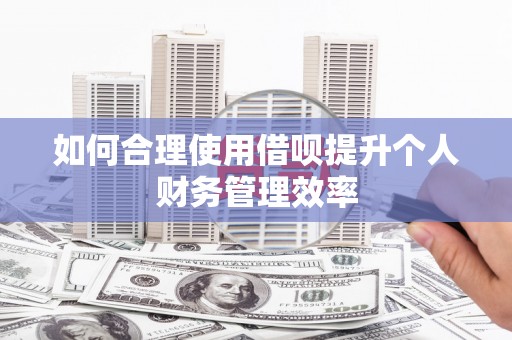 新乐如何合理使用借呗提升个人财务管理效率