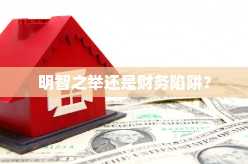 新乐明智之举还是财务陷阱？