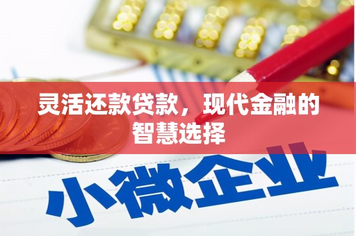 新乐灵活还款贷款，现代金融的智慧选择