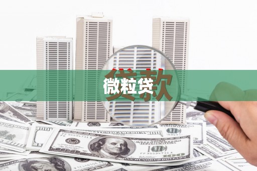 新乐微粒贷