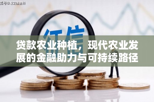 新乐贷款农业种植，现代农业发展的金融助力与可持续路径