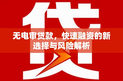 新乐无电审贷款，快速融资的新选择与风险解析