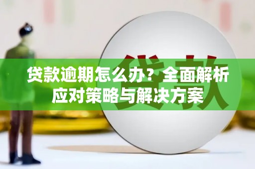 新乐贷款逾期怎么办？全面解析应对策略与解决方案