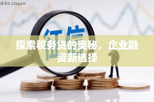 新乐探索税务贷的奥秘，企业融资新选择