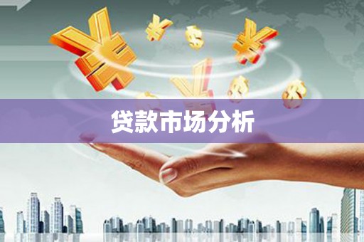新乐贷款市场分析