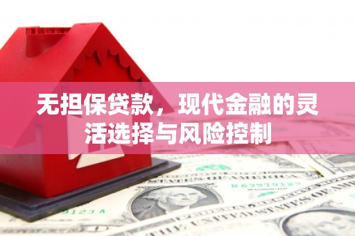 新乐无担保贷款，现代金融的灵活选择与风险控制