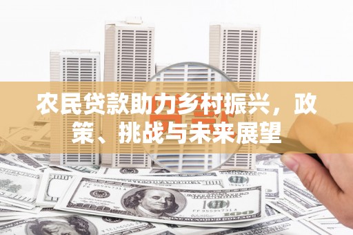 新乐农民贷款助力乡村振兴，政策、挑战与未来展望