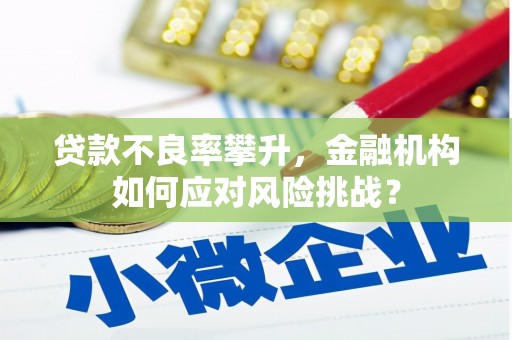新乐贷款不良率攀升，金融机构如何应对风险挑战？
