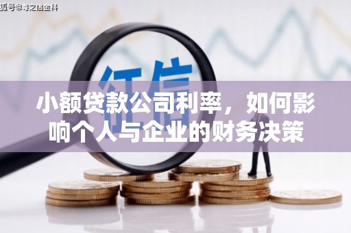 新乐小额贷款公司利率，如何影响个人与企业的财务决策