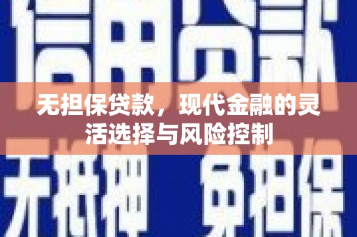 新乐无担保贷款，现代金融的灵活选择与风险控制
