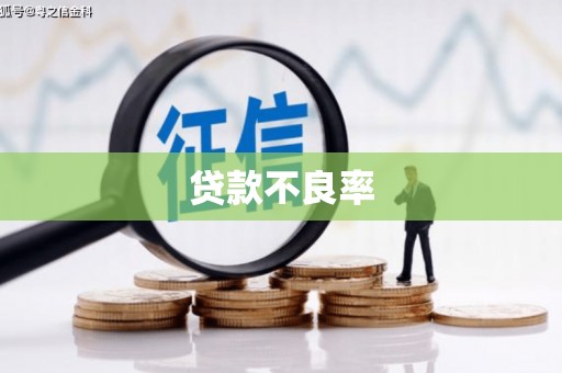 新乐贷款不良率