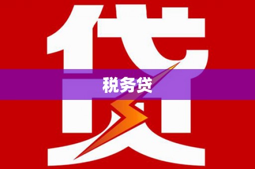 新乐税务贷