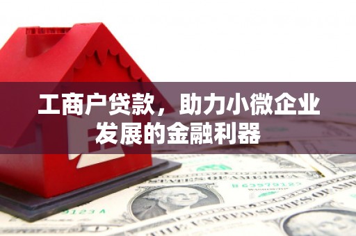 新乐工商户贷款，助力小微企业发展的金融利器