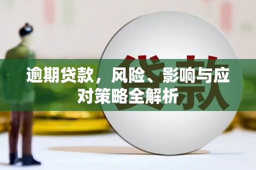 新乐逾期贷款，风险、影响与应对策略全解析