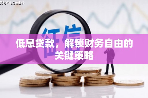 新乐低息贷款，解锁财务自由的关键策略