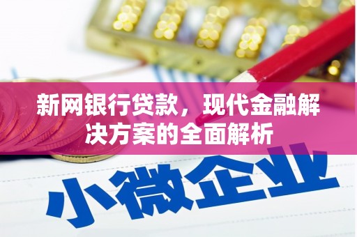 新乐新网银行贷款，现代金融解决方案的全面解析