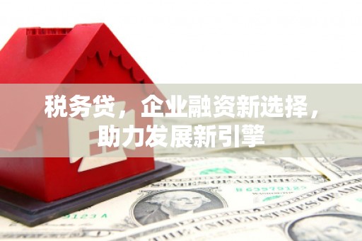 新乐税务贷，企业融资新选择，助力发展新引擎