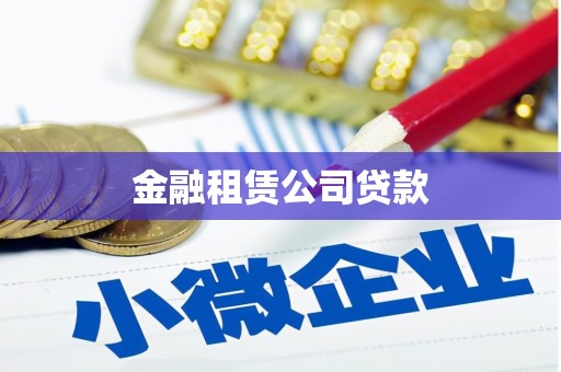 新乐金融租赁公司贷款