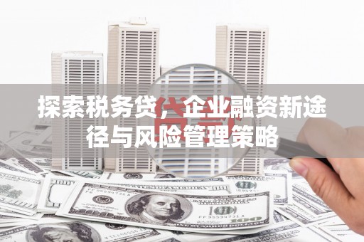 新乐探索税务贷，企业融资新途径与风险管理策略