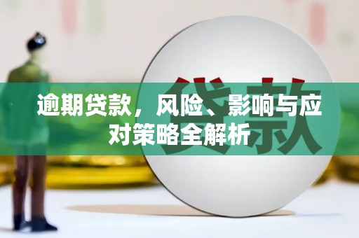 新乐逾期贷款，风险、影响与应对策略全解析