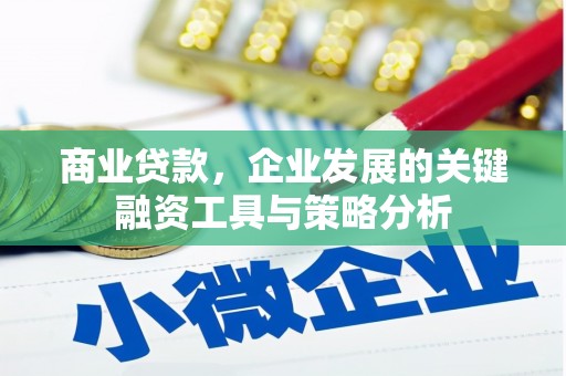 新乐商业贷款，企业发展的关键融资工具与策略分析