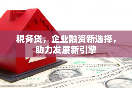 新乐税务贷，企业融资新选择，助力发展新引擎